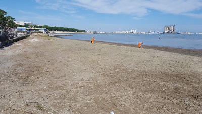 pulizia spiaggetta molo di levante