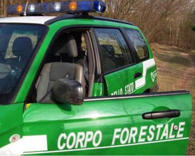 corpo forestale