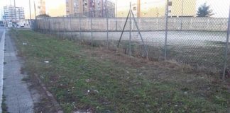 campo-di-calcio-san-paolo