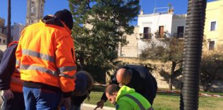 bari-operazioni-spurgo-sul-lungomare-imperatore-augusto