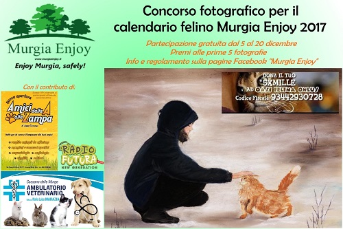 concorso-fotografico-felino