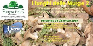 Locandina I funghi delle Murge 2 Bis