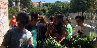 17-05-17 ass. Romano al raccolto degli alunni della scuola Tommaso Fiore