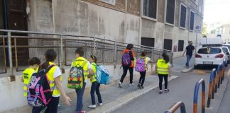 pedibus