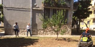 potatura e sfalcio delle aree a verde dei gruppi di palazzine viale japigia