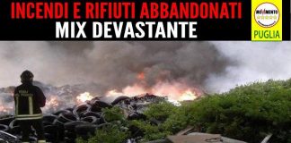 banner incendi e rifiuti abbandonati movimento 5 stelle