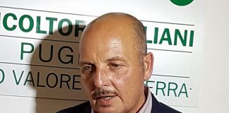 dino scanavino