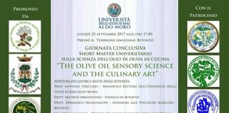 locandina giornata conclusiva short master universitario