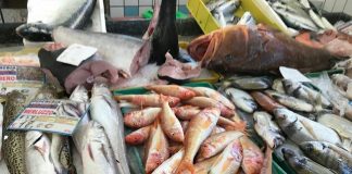 pescheria