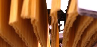 linea spaghetti