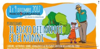 banner il bosco dei nonni e nipoti al parco di via gargasole