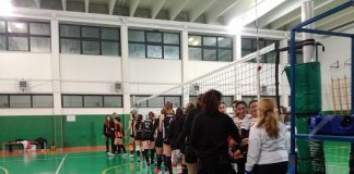 jet log bitonto - new volley torre