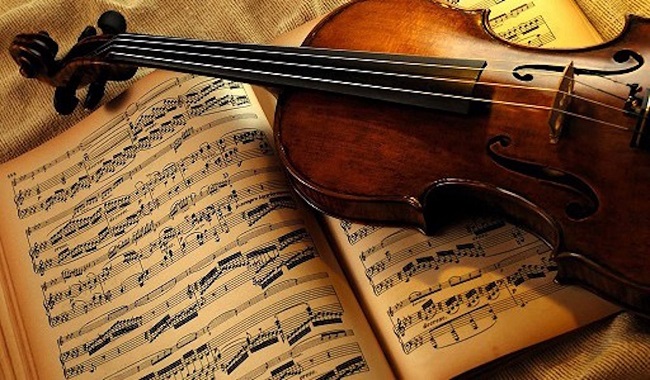 violino