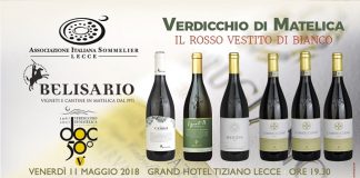 verdicchio di matelica