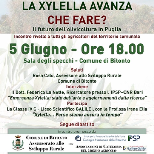 locandina incontro xylella bitonto