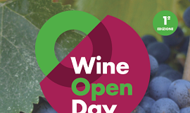 locandina wine open day