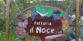 fattoria