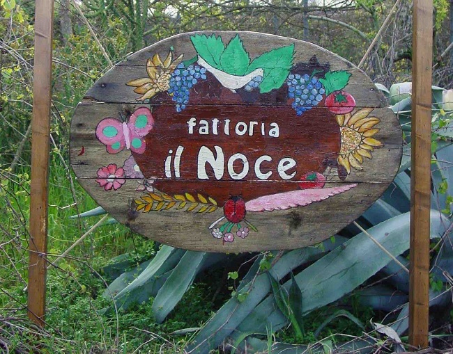 fattoria