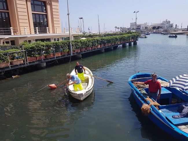 ripulitura specchio d'acqua