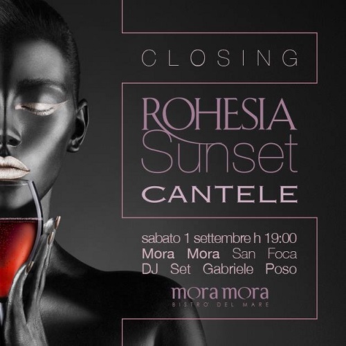 banner rohesia sunset