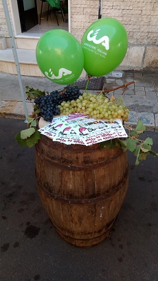 festa del vino