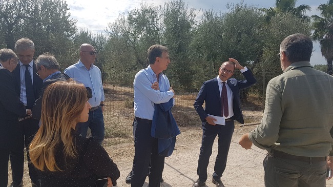 individuazione area fermata treno ospedale dimiccoli