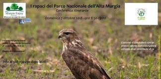 locandina i rapaci del parco nazionale dell'alta murgia