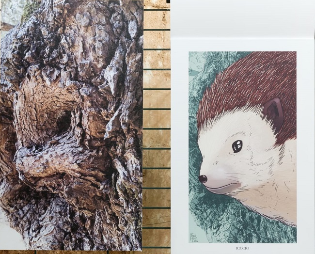 riccio, mostra otranto pareidolia
