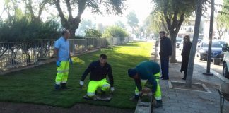 nuovo prato verde fra cattedrale e giardini del castello a barletta