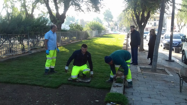 nuovo prato verde fra cattedrale e giardini del castello a barletta