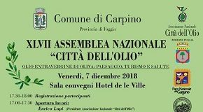 locandina carpino assemblea nazionale