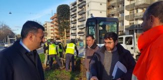 al via la piantumazione di 115 nuovi alberi in via caldarola