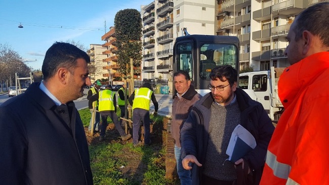 al via la piantumazione di 115 nuovi alberi in via caldarola