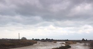 fiume ofanto (barletta)