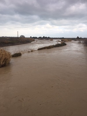 fiume ofanto (barletta)