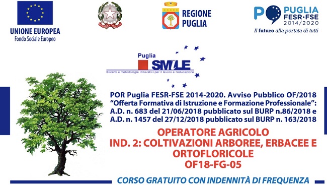 manifesto corso