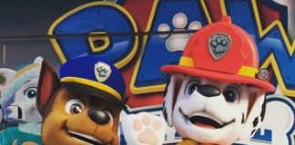 paw patrol live appearance