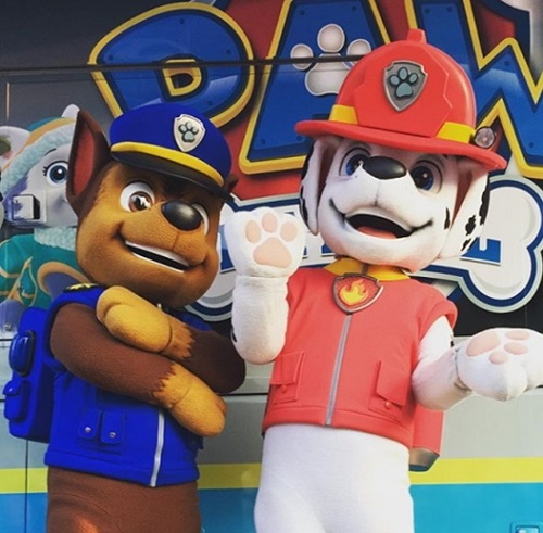 paw patrol live appearance