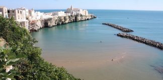 vieste panorama