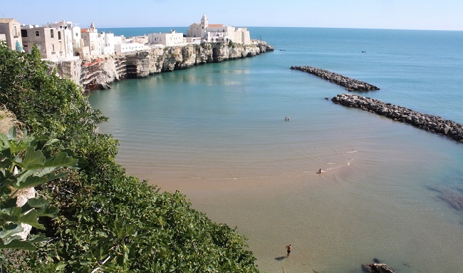 vieste panorama