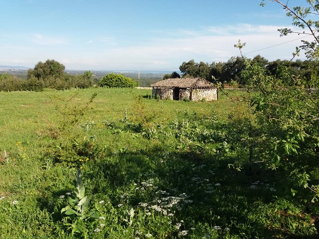 parco archeologico ostuni