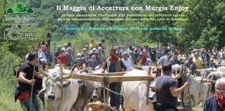 locandina 'il maggio di accettura con murgia enjoy'