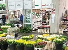 mercato dei fiori terlizzi