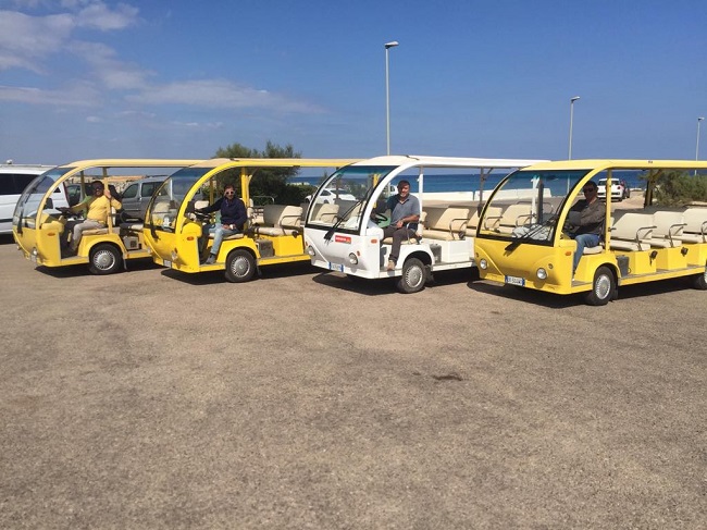 mini bus elettrici