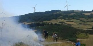 il sindaco tommaso lecce impegnato nell'operazione antincendio