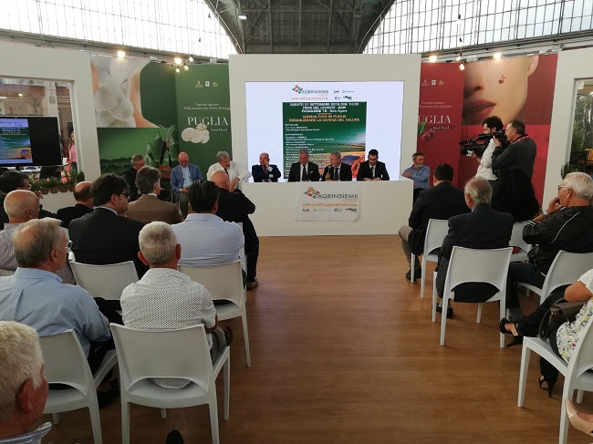 agrinsieme puglia convegno catena valore