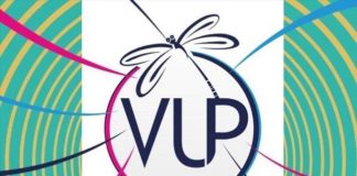 logo volleyup