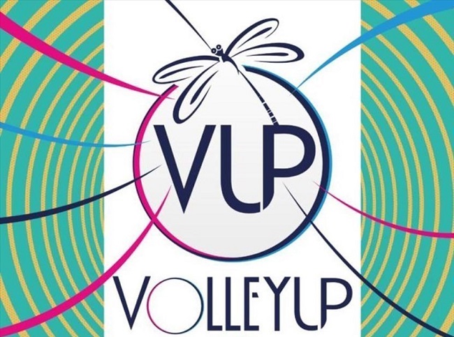 logo volleyup