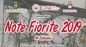 note fiorite locandina