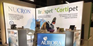 aurora biofarma - stand